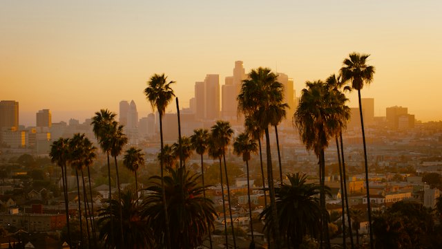 Palm trees silhouetted against the Downtown Los Angeles skyline in golden evening light.